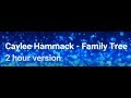 Family tree by caylee hammack 2 hour version