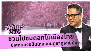 ชวนไปชมดอกไม้เมืองไทย ประหยัดงบบินไกลแทนดูซากุระญี่ปุ่น #DivasCafe