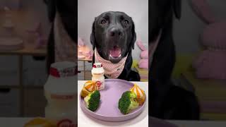 Puppy Mommy, Its Raining Season And, I Need More Food To Eat. Thats Why I Am Foodie Puppy ,