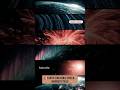🧲 Earth’s Invisible Shield Protects Us