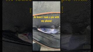 Fly Fishing Kootenay River #shorts #fishing #flyfishing #trout