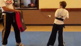 Totalmartialarts Tiny Tigers