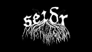 Seidr - Stream Keeper