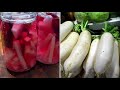 Easy and Delicious Pickled Radish (side dish)Tibetan Pickled Radish Recipe