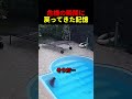 危機の瞬間に戻ってきた記憶