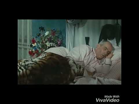 Азер мугам - YouTube