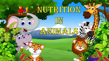 Nutrition in animals class 7 science chapter 2 animated video in hindi with full explanation