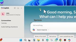 Clear Copilot History and Memory on Windows 11