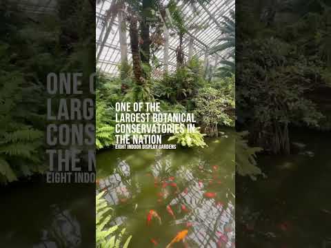 An Adventure At Chicago’s Garfield Park Conservatory