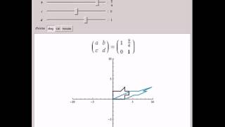 Change the Dog: Matrix Transformations