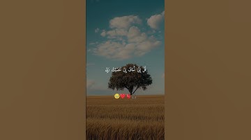 قل إني أخاف إن عصيت ربي عذاب يوم عظيم | الآية 15 من سورة الأنعام