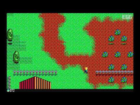 動画