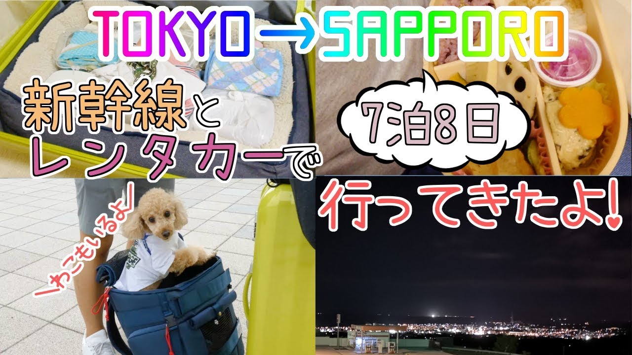 犬と一緒！東京から札幌まで新幹線とレンタカーで行ったトイプードルのわこ