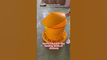 Automatic Chicken Feeder: Large Capacity, Weatherproof & Waste-Reducing #poultry #chicken #farming