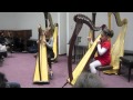 Duo leila harpe  1er audition harpe cachecache