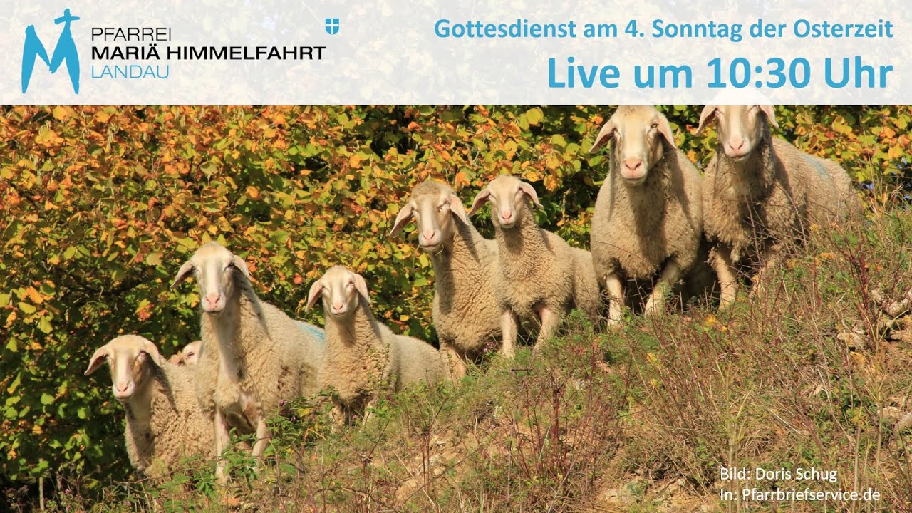Gottesdienst am 4. Sonntag der Osterzeit - YouTube