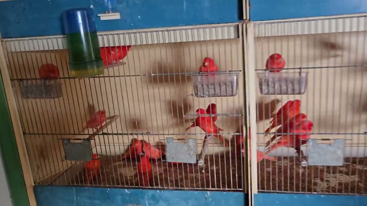 24 Φεβρουαρίου 2026