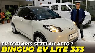 Many People Dont Know About Binguo Ev Facelif 2025 Watch This Before You Buy It So You Wont Re