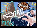 Encuentro HarleyDavidson MDQ 2019 (segunda parte).