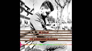 Ali Cumali - İşte Gidiyorum Çeşmi Siyahım