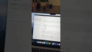 Docket Survival Offline AI #ai #offlineai #bugoutbag #localai #chatgpt