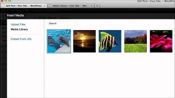 Wordpress Tutorial - Media library images