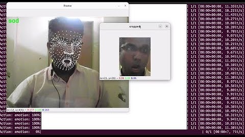 Python  real time emotion detection using crop