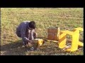 THE ANONYMOUS