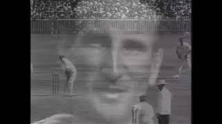 Paul Kelly -  Bradman ,Official Video.