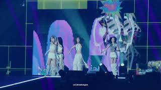 251118 Le Sserafim 르세라핌 No Celestial Easy Crazy Hot Encore In Tokyo Dome