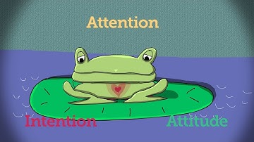What Is Mindfulness?
