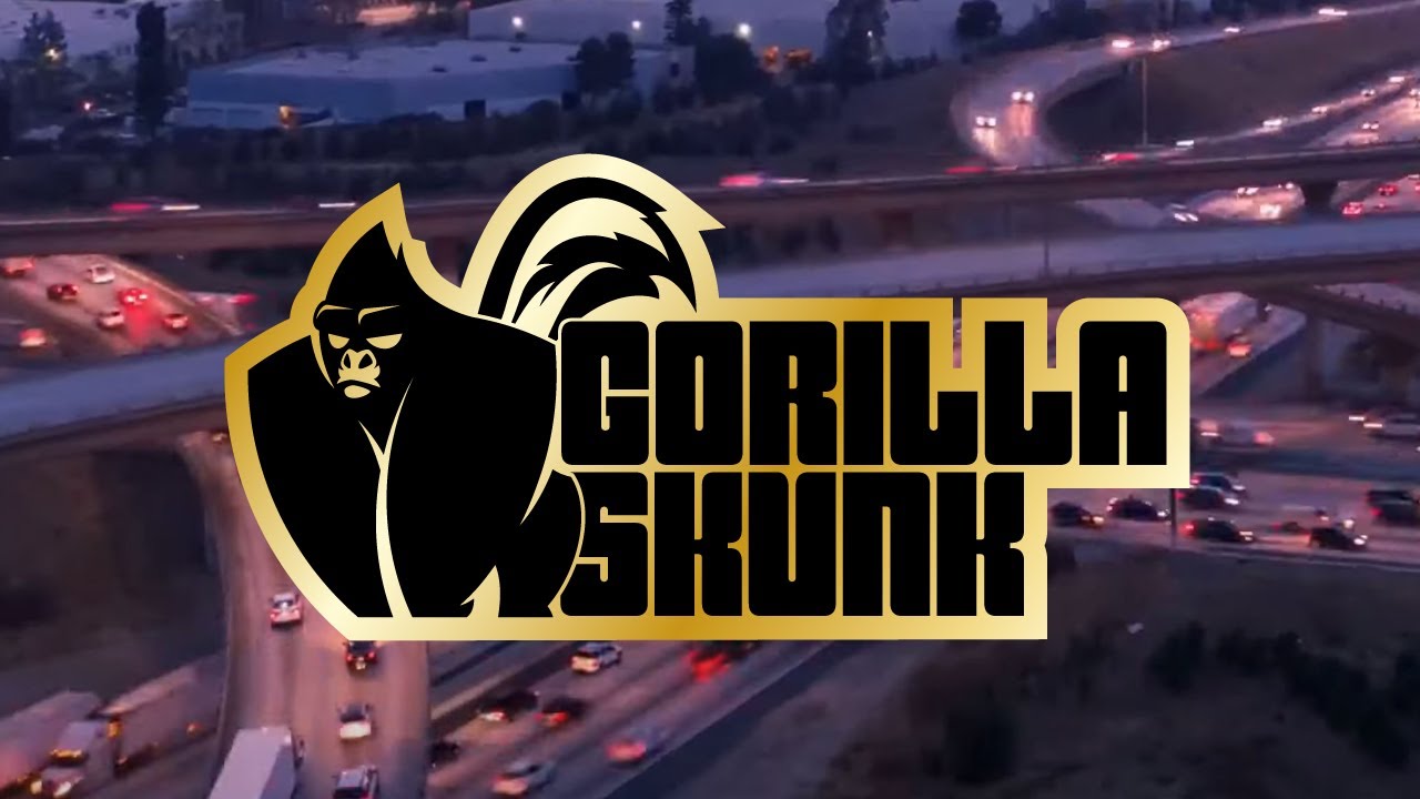 Watch Lock Me Down: The most Anti-Lockdown song ever | GorillaSkunk on YouTube Watch Lock Me Down: The most Anti-Lockdown song ever | GorillaSkunk on YouTube
