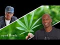 Al Harrington Healing With Cannabis