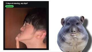 Caldrukishots - Random Screenshots Out Of Context