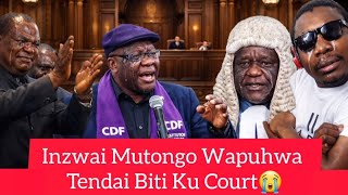Inzwai Mutongo Wapuhwa Tendai Biti Ku Court, Nyika Yese Irikuchema😭