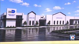 Weather Miami-Dade breaks ground on new animal shelter in southwest Miami-Dade Station Image