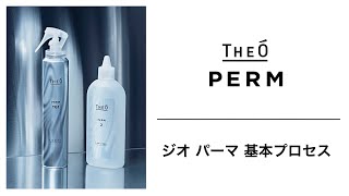 THEO PEMR ジオパーマ ジオ パーマ TGa 第1剤 a | ビューティー