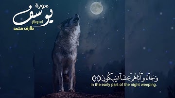 وجاءوا أباهم عشاء يبكون.. سورة يوسف.. تلاوة القارئ طارق محمد