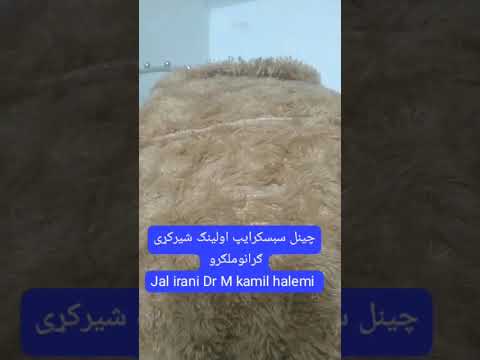 جل مشهدی کمیاب