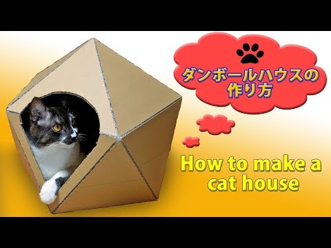 猫用 ダンボールハウスの作り方 How To Make A Dome Type Cat House Youtube