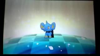 Shinx Hatched From The Egg Pokemon Sun