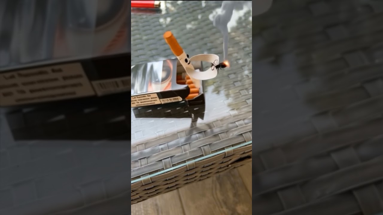 What’s in an Addiction Ants ? 🐜