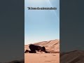 Tu fondo de armario de entrenamiento | Clase de refuerzo sin material (45 min)