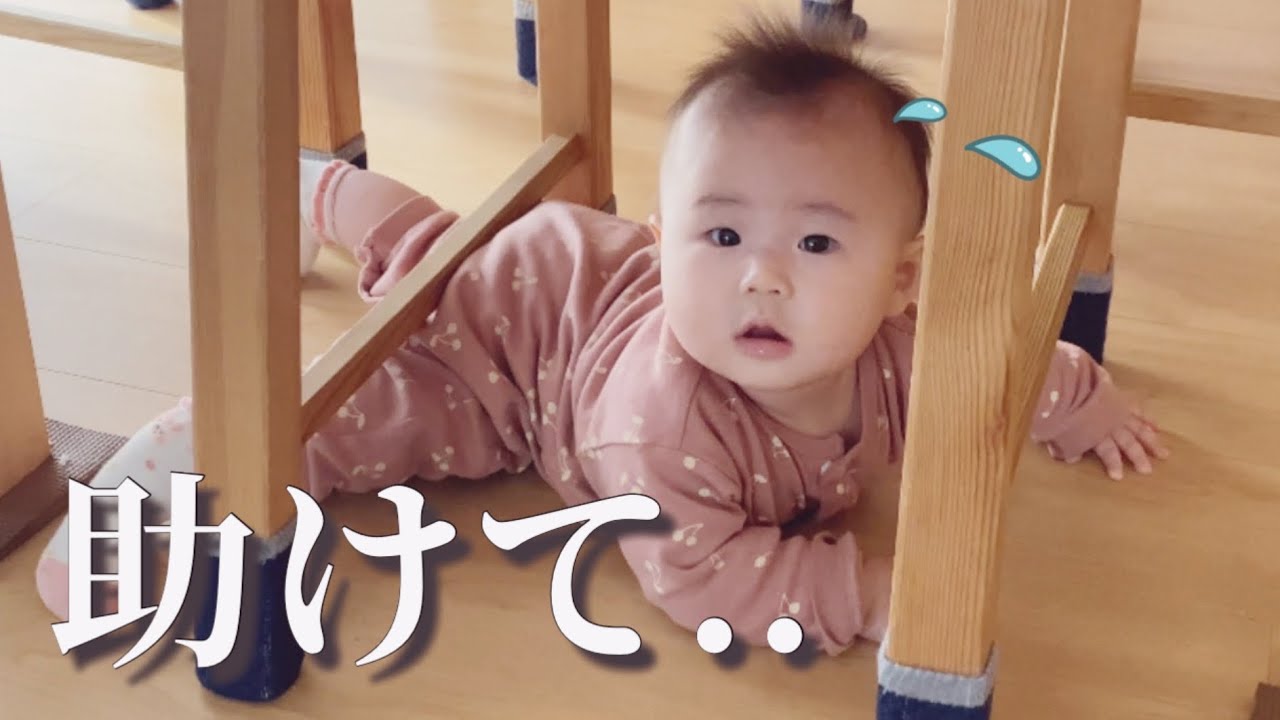 【生後７ヵ月】椅子の脚に挟まって出られなくなってしまいました