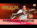 Paridaanamichithe 🪕 | Divine Instrumental Veena by Dr. Chitti Babu | Carnatic Veena Instrumental