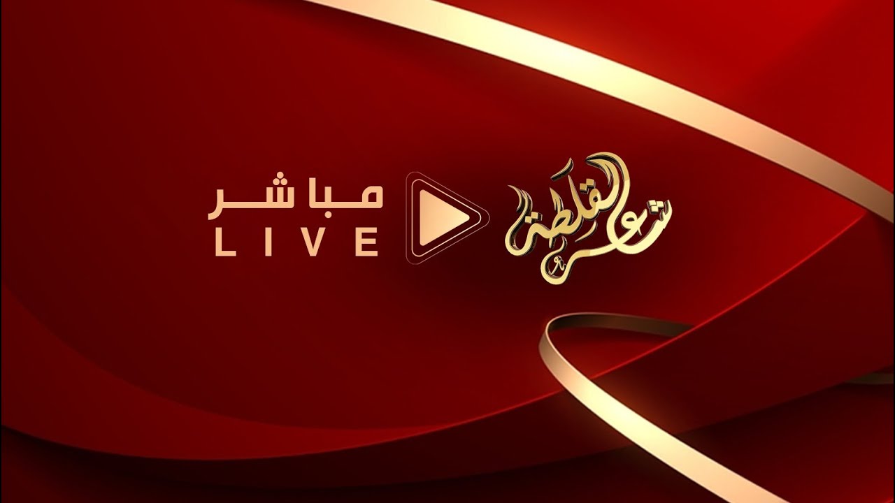 البث المباشر   #شاعر_القلطه