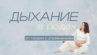 картинка: ДЫХАНИЕ В РОДАХ. Пошаговое руководство  и секреты врача ЛФК -- от теории к упражнениям.