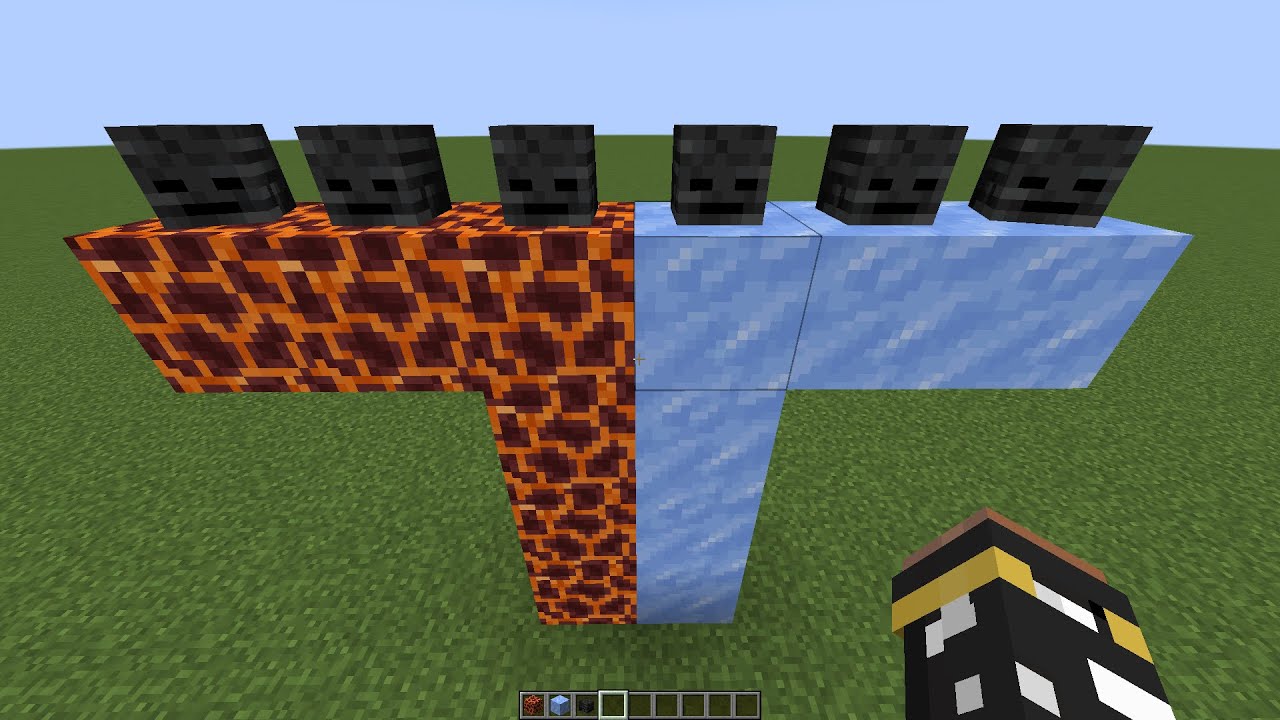 what if you create a Spiral Witheeer Guard in MINECRAFT - YouTube