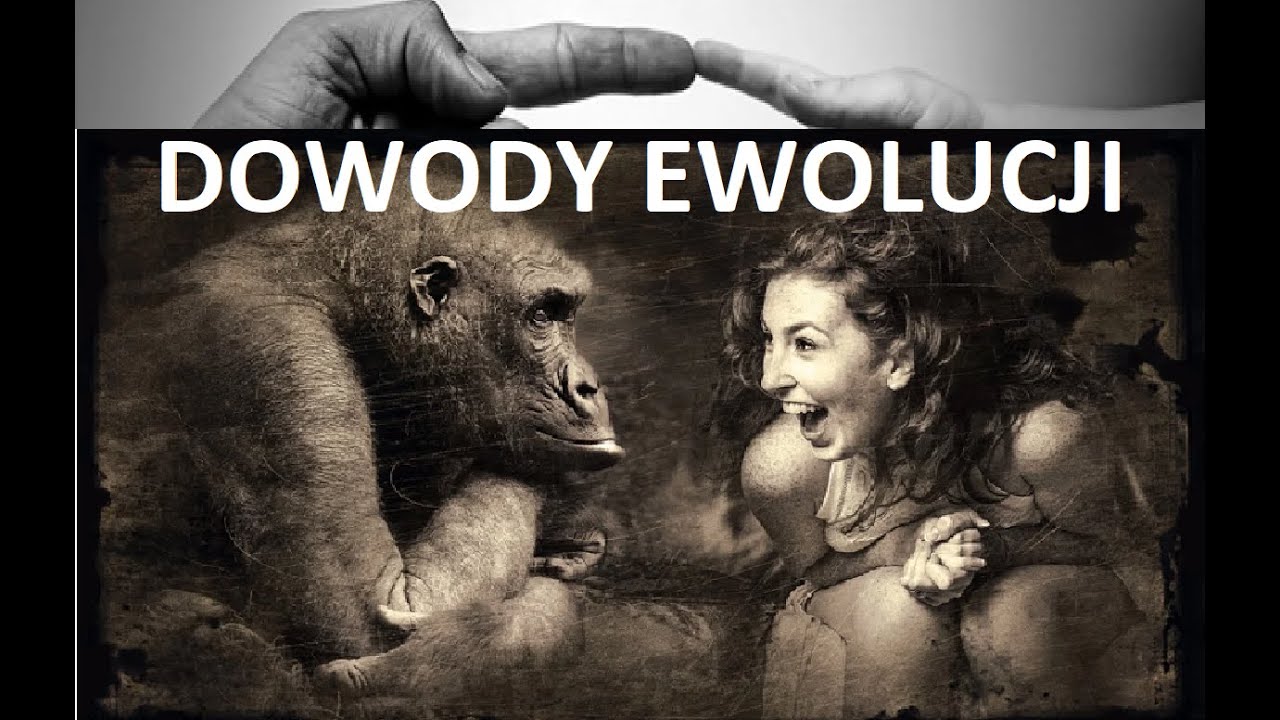 Sprawdzian Biologia Dowody Ewolucji Puls Zycia 3 Źródła wiedzy o ewolucji. Dowody ewolucji - YouTube