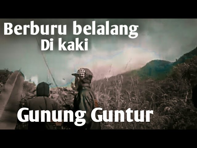 Berburu Belalang di kaki gunung Guntur Garut jawabarat class=